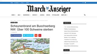 
                            11. Scheunenbrand am Buochserberg NW: Über 100 ... - March-Anzeiger