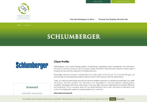 
                            3. Schlumberger - Careers in Africa