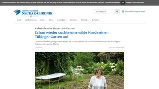 
                            11. Schon wieder suchte eine wilde Horde einen Tübinger Garten auf