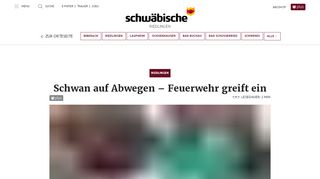 
                            10. Schwan auf Abwegen – Feuerwehr greift ein - Schwäbische Zeitung