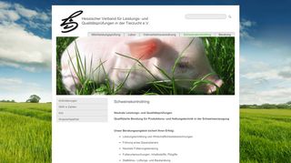 
                            5. Schweinekontrollring - HVL Alsfeld