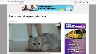 
                            7. Scottsdale cat enjoys Insta-fame | Archives | azfamily.com