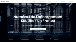 
                            2. Sdedi: Numéro 1 de l'hébergement Seedbox en France