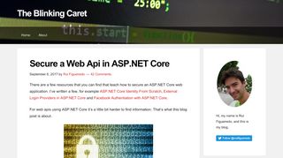 
                            11. Secure a Web Api in ASP.NET Core - The Blinking Caret