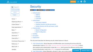 
                            11. Security - Alluxio