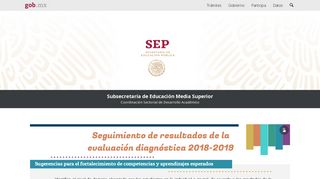 
                            7. Seguimiento de los resultados de la evaluación diagnóstica 2018-2019