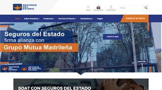 
                            4. Seguros del Estado: Home Page