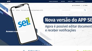 
                            2. SEI — Planejamento, Desenvolvimento e Gestão