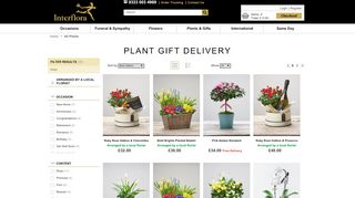 
                            6. Send Plant Gifts Online - Same Day Delivery Available - Interflora