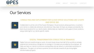 
                            13. Services | Opes Consulting