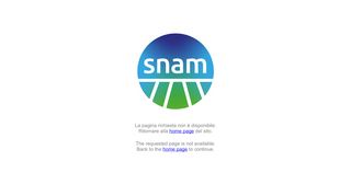 
                            3. Servizi Online - Snam
