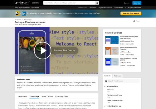 
                            3. Set up a Firebase account - Lynda.com