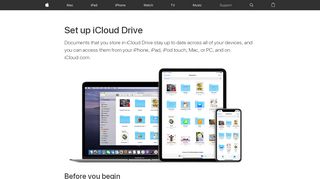 
                            1. Set up iCloud Drive - Apple Support