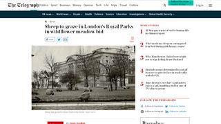 
                            6. Sheep to graze in London's Royal Parks in wildflower meadow bid