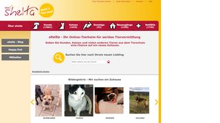 
                            1. shelta - such's tier aus: das Online-Tierheim von TASSO