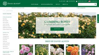 
                            8. Shop Online - David Austin Roses