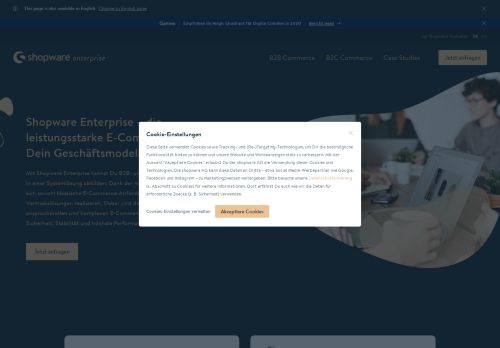 
                            4. Shopware Enterprise