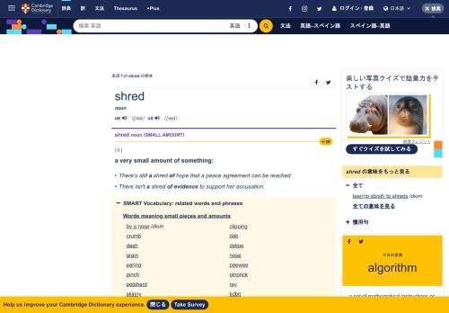 
                            11. SHRED | 意味, Cambridge 英語辞書での定義