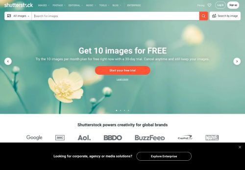 
                            12. Shutterstock: Stock Images, Photos, Vectors, Video, and Music