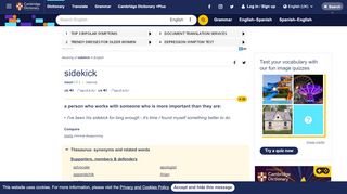 
                            11. SIDEKICK | meaning in the Cambridge English Dictionary