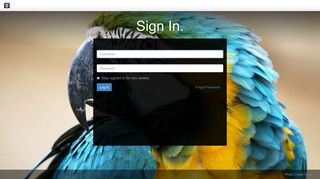 
                            9. Sign In to Edit this Site - PBOBI