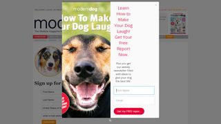 
                            13. Sign up for the Modern Dog e-newsletter | Modern Dog magazine