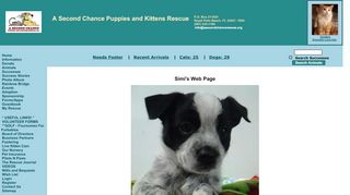 
                            10. Simi's Web Page - A Second Chance Puppies and Kittens Rescue!