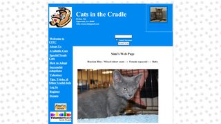 
                            9. Simi's Web Page - Cats in the Cradle Rescue