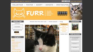
                            6. Simi's Web Page - Feline Urban Rescue and Rehab
