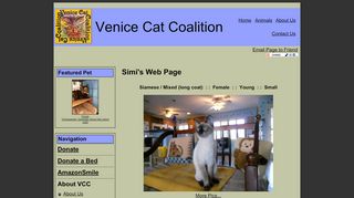 
                            12. Simi's Web Page - Venice Cat Coalition