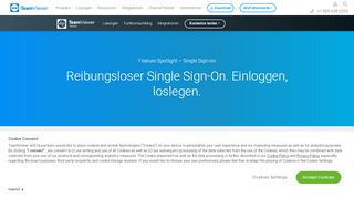 
                            10. Single Sign-on - TeamViewer