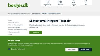 
                            5. Skatteforvaltningens TastSelv - Borger.dk
