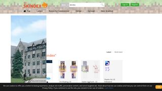
                            5. skindex | Minecraft Skins