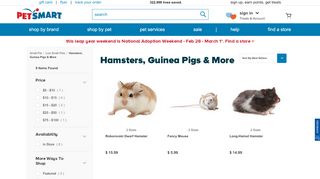 
                            13. small pet Hamsters, Guinea Pigs & More | PetSmart