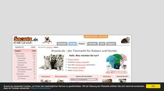 
                            3. Snautz.de - der seriöse Tiermarkt für Katzen aller Rassen