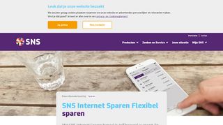 
                            5. SNS Internet sparen - SNS Bank
