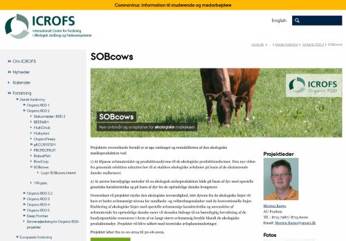 
                            12. SOBcows - icrofs.dk