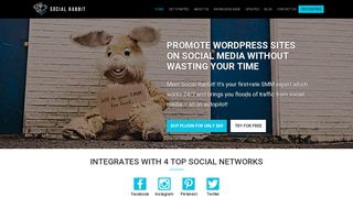 
                            12. Social Rabbit - Wordpress Social Media Plugin to Promote Your Website