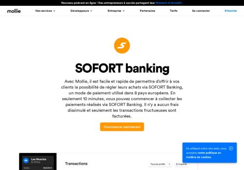 
                            2. SOFORT banking - Mollie