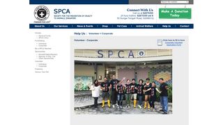 
                            5. SPCA Singapore : Volunteer - Corporate