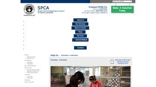 
                            1. SPCA Singapore : Volunteer - Individual