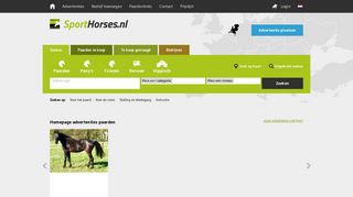 
                            8. Sporthorses: Paarden te koop