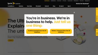 
                            13. Sprint Business