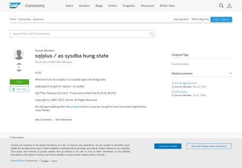 
                            7. sqlplus / as sysdba hung state - archive SAP