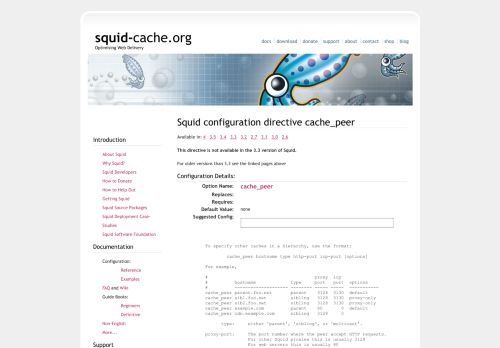 
                            9. squid : cache_peer configuration directive