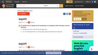 
                            9. SQUIRT | definition in the Cambridge English Dictionary