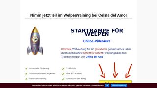 
                            3. Startrampe – Ein intergalaktisch guter Videokurs für Welpenbesitzer ...