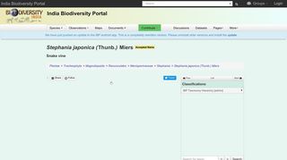 
                            9. Stephania japonica (Thunb.) Miers | Species | India Biodiversity Portal