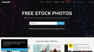 
                            2. Stockvault: Free Stock Photos | Free Images and Vectors