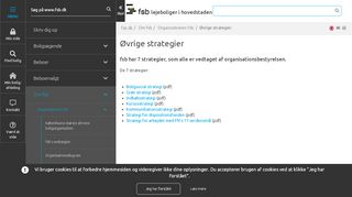 
                            11. Strategier - fsb